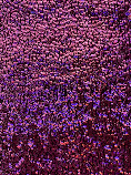 Fabric 7194 Blk/Purple Avatar